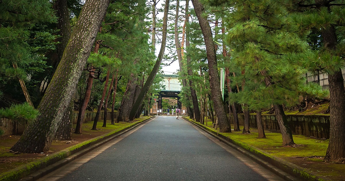 Entrada del templo Gotokuji, famoso en la actualidad por sus numerosos maneki neko que dan la bienvenida a los visitantes.