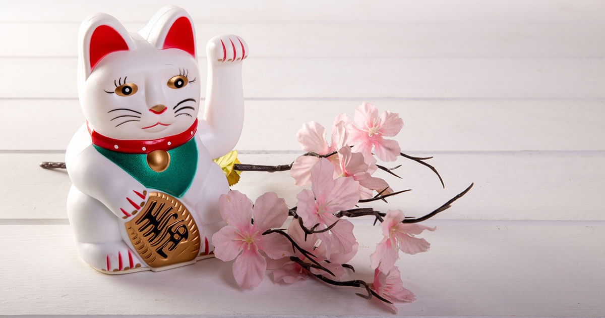 Maneki Neko con una rama de cerezo sobre un suelo de madera